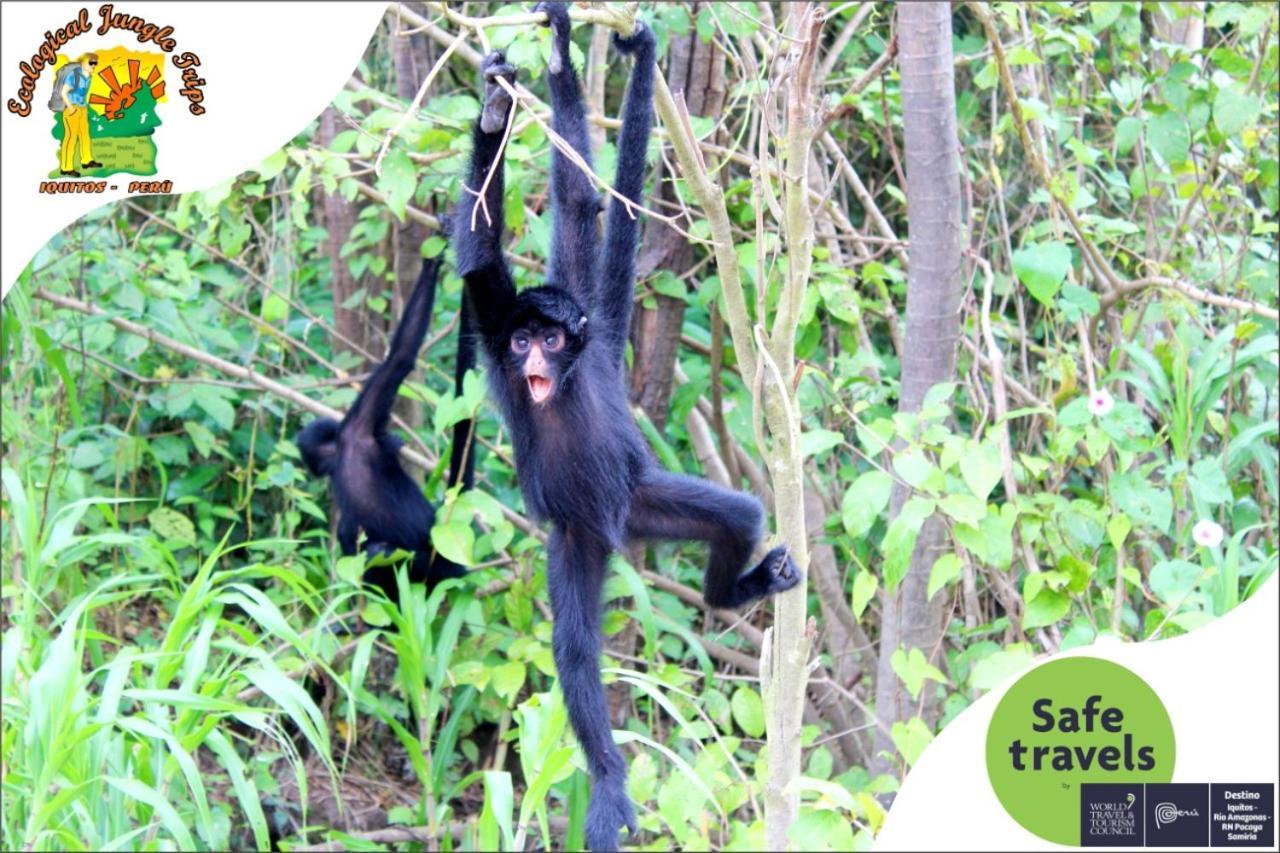 Bed and Breakfast A&T Amazon Backpacker'S Iquitos Esterno foto