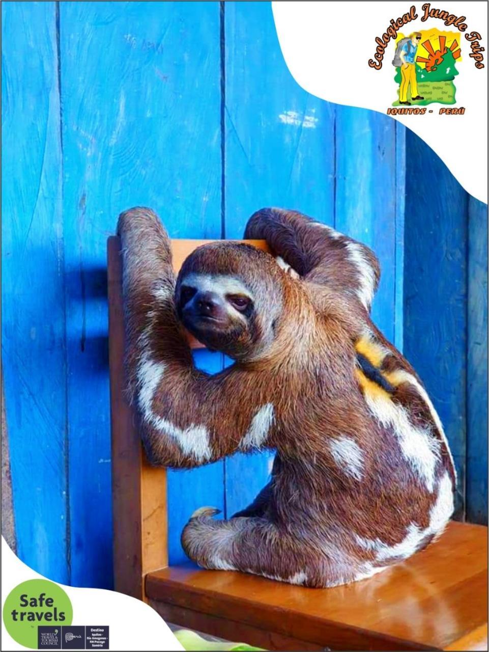 Bed and Breakfast A&T Amazon Backpacker'S Iquitos Esterno foto