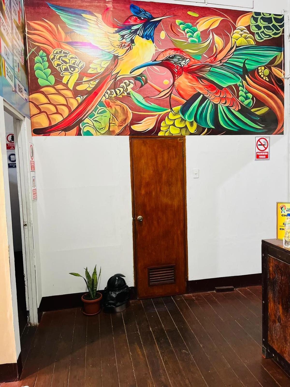 Bed and Breakfast A&T Amazon Backpacker'S Iquitos Esterno foto